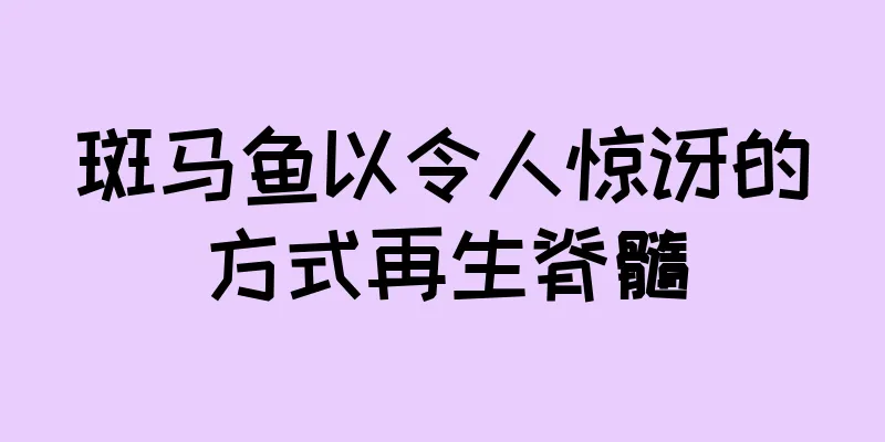斑马鱼以令人惊讶的方式再生脊髓