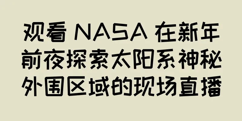 观看 NASA 在新年前夜探索太阳系神秘外围区域的现场直播