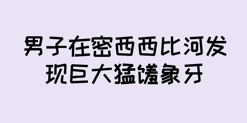 男子在密西西比河发现巨大猛犸象牙
