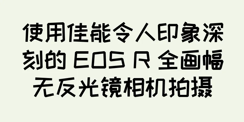 使用佳能令人印象深刻的 EOS R 全画幅无反光镜相机拍摄