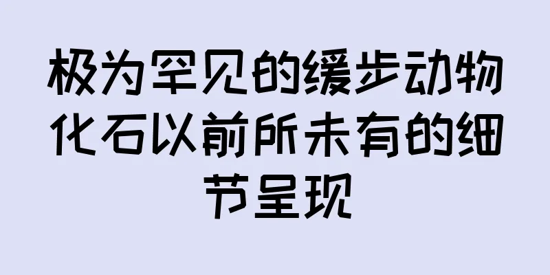 极为罕见的缓步动物化石以前所未有的细节呈现