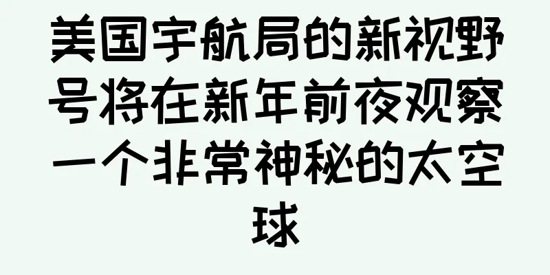 美国宇航局的新视野号将在新年前夜观察一个非常神秘的太空球