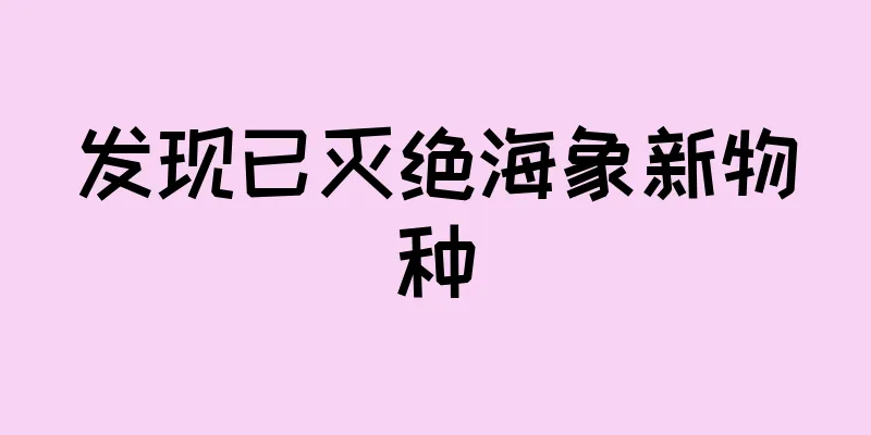发现已灭绝海象新物种