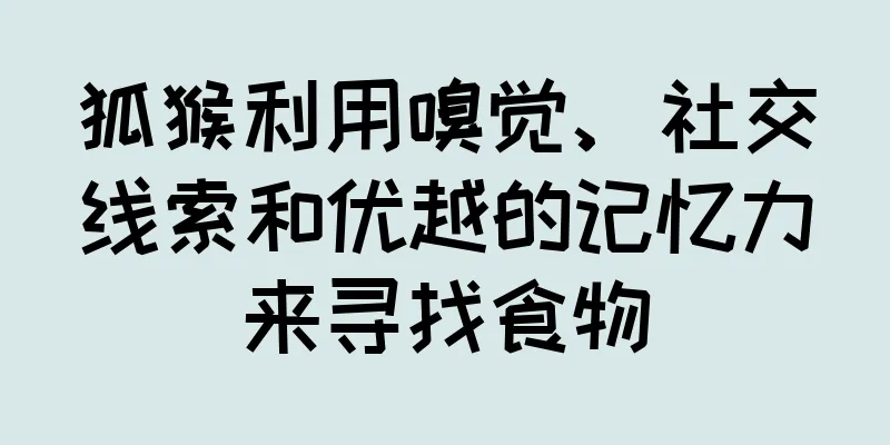 狐猴利用嗅觉、社交线索和优越的记忆力来寻找食物