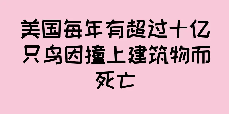 美国每年有超过十亿只鸟因撞上建筑物而死亡