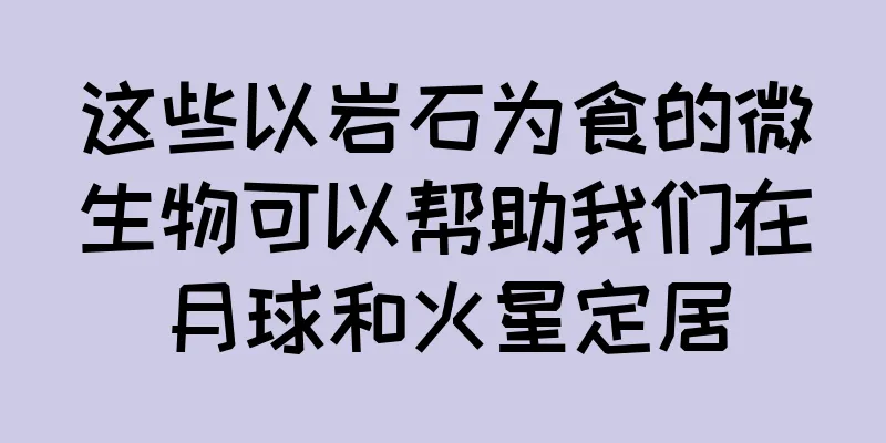 这些以岩石为食的微生物可以帮助我们在月球和火星定居