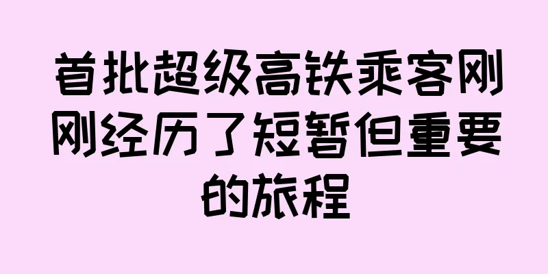 首批超级高铁乘客刚刚经历了短暂但重要的旅程