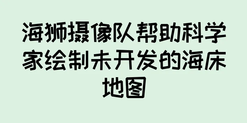 海狮摄像队帮助科学家绘制未开发的海床地图