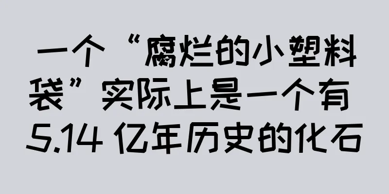 一个“腐烂的小塑料袋”实际上是一个有 5.14 亿年历史的化石