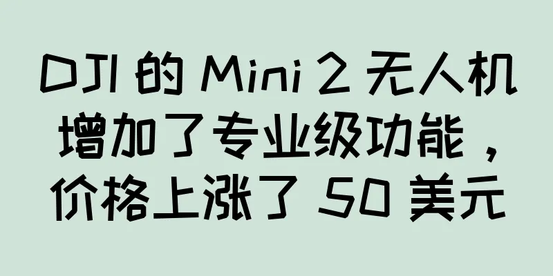 DJI 的 Mini 2 无人机增加了专业级功能，价格上涨了 50 美元