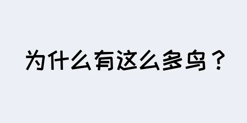 为什么有这么多鸟？