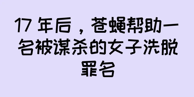 17 年后，苍蝇帮助一名被谋杀的女子洗脱罪名