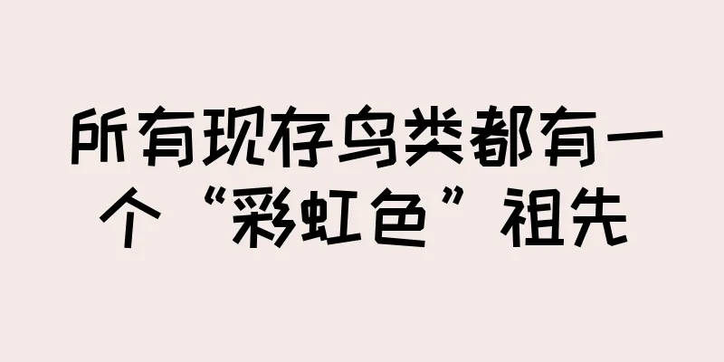 所有现存鸟类都有一个“彩虹色”祖先