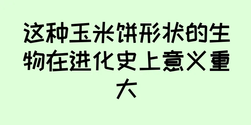 这种玉米饼形状的生物在进化史上意义重大