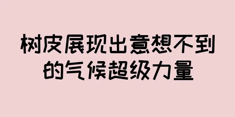 树皮展现出意想不到的气候超级力量