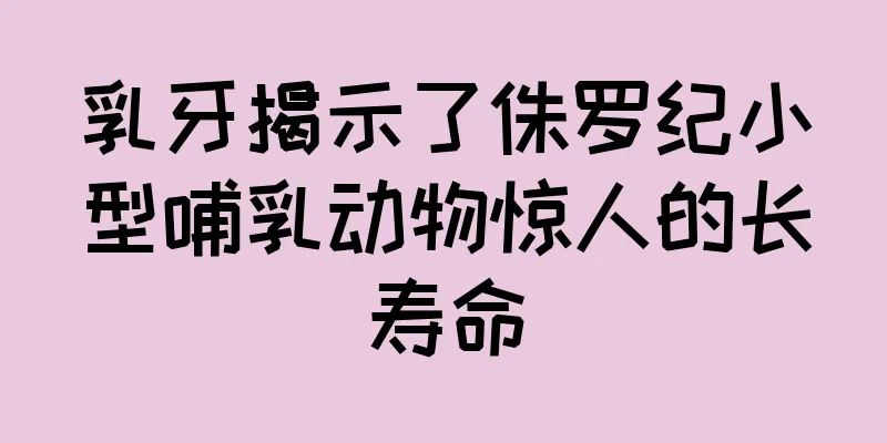 乳牙揭示了侏罗纪小型哺乳动物惊人的长寿命