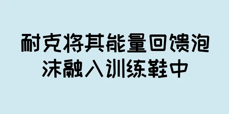 耐克将其能量回馈泡沫融入训练鞋中