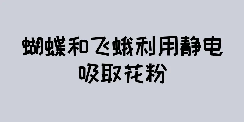 蝴蝶和飞蛾利用静电吸取花粉