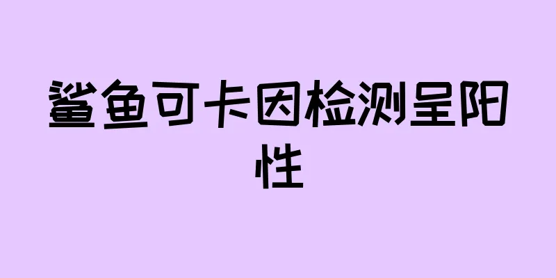 鲨鱼可卡因检测呈阳性