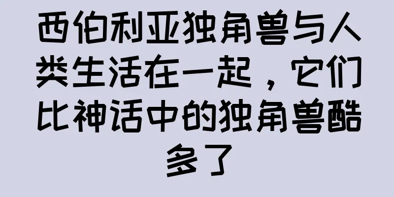 西伯利亚独角兽与人类生活在一起，它们比神话中的独角兽酷多了