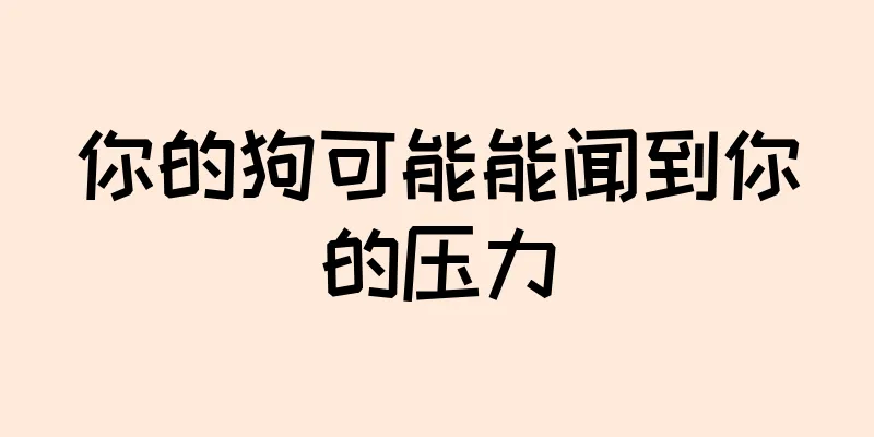 你的狗可能能闻到你的压力