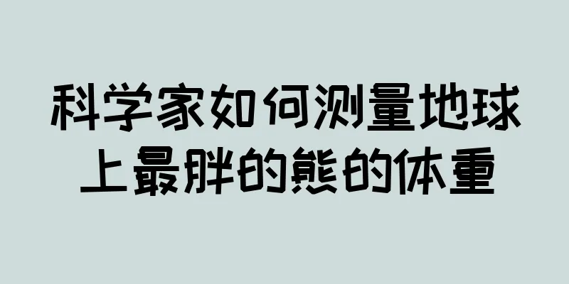 科学家如何测量地球上最胖的熊的体重