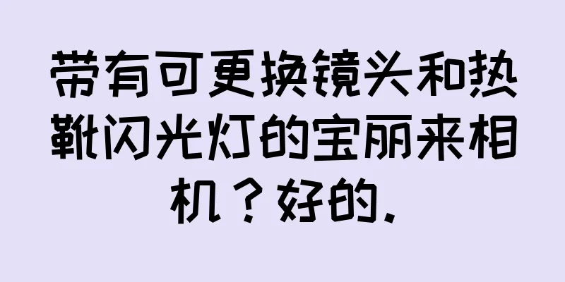 带有可更换镜头和热靴闪光灯的宝丽来相机？好的。
