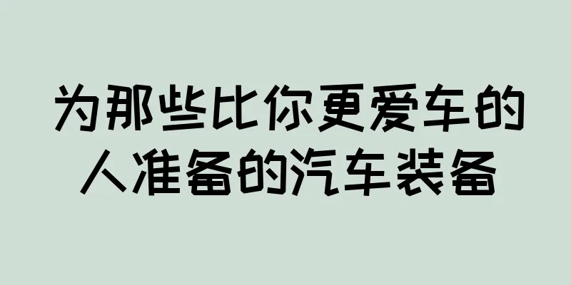 为那些比你更爱车的人准备的汽车装备