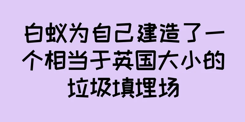 白蚁为自己建造了一个相当于英国大小的垃圾填埋场