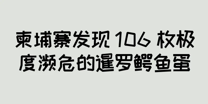 柬埔寨发现 106 枚极度濒危的暹罗鳄鱼蛋