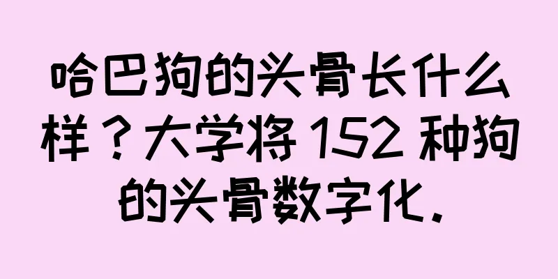 哈巴狗的头骨长什么样？大学将 152 种狗的头骨数字化。
