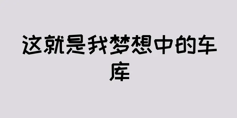 这就是我梦想中的车库