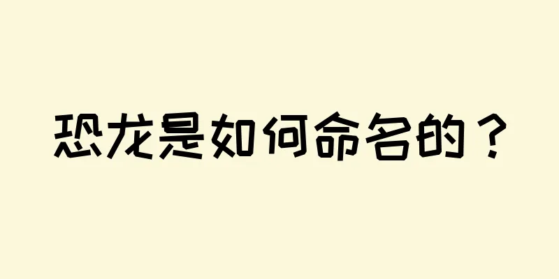 恐龙是如何命名的？
