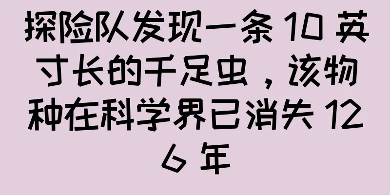 探险队发现一条 10 英寸长的千足虫，该物种在科学界已消失 126 年