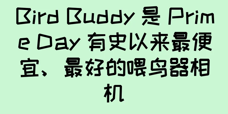 Bird Buddy 是 Prime Day 有史以来最便宜、最好的喂鸟器相机