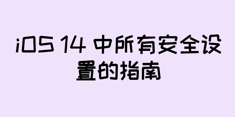 iOS 14 中所有安全设置的指南