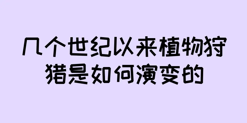 几个世纪以来植物狩猎是如何演变的