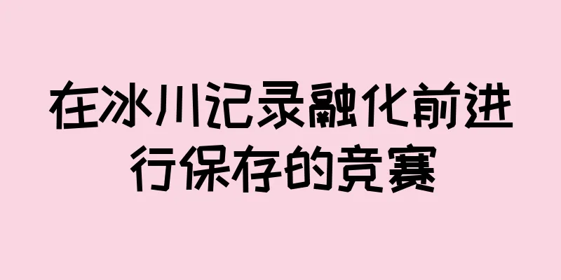 在冰川记录融化前进行保存的竞赛