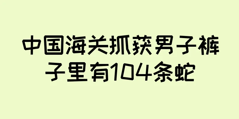 中国海关抓获男子裤子里有104条蛇