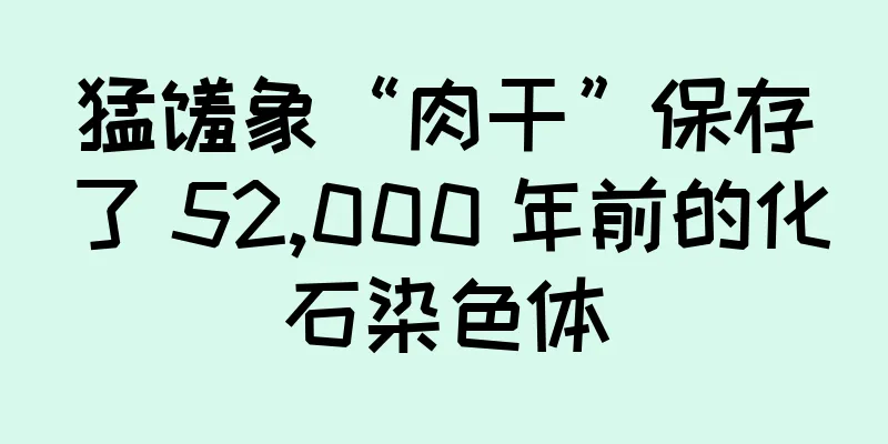 猛犸象“肉干”保存了 52,000 年前的化石染色体