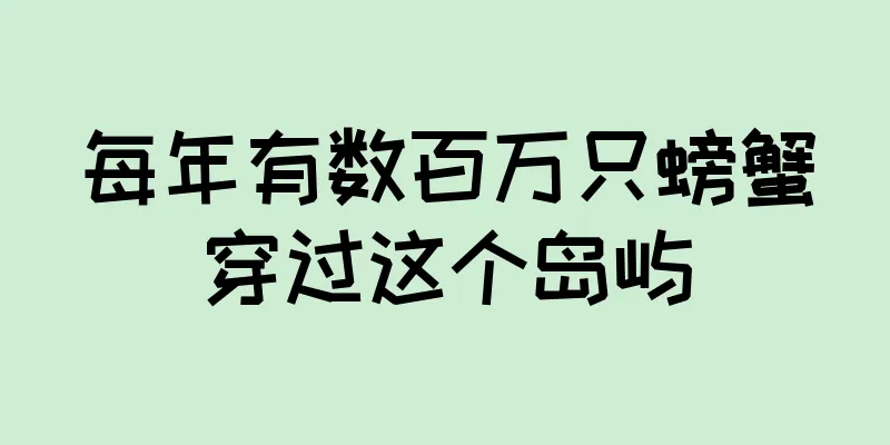 每年有数百万只螃蟹穿过这个岛屿