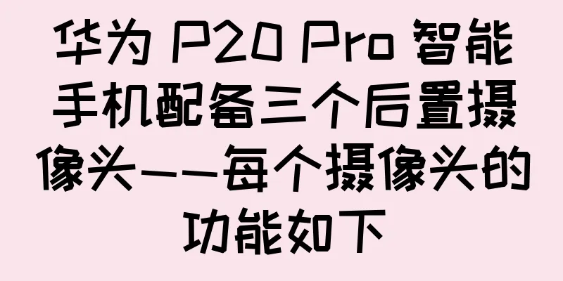 华为 P20 Pro 智能手机配备三个后置摄像头——每个摄像头的功能如下
