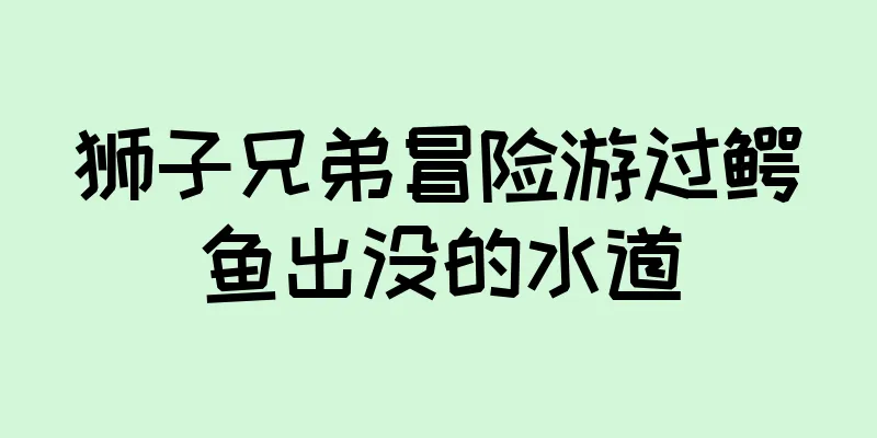 狮子兄弟冒险游过鳄鱼出没的水道