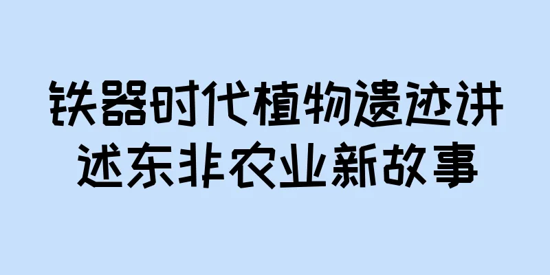铁器时代植物遗迹讲述东非农业新故事