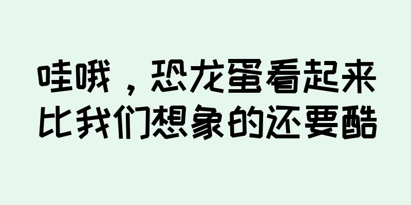 哇哦，恐龙蛋看起来比我们想象的还要酷