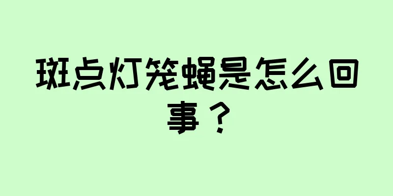 斑点灯笼蝇是怎么回事？