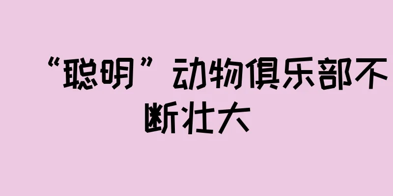 “聪明”动物俱乐部不断壮大