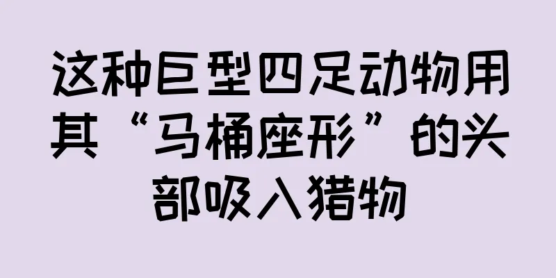 这种巨型四足动物用其“马桶座形”的头部吸入猎物