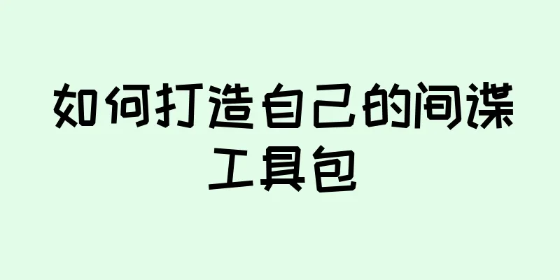 如何打造自己的间谍工具包