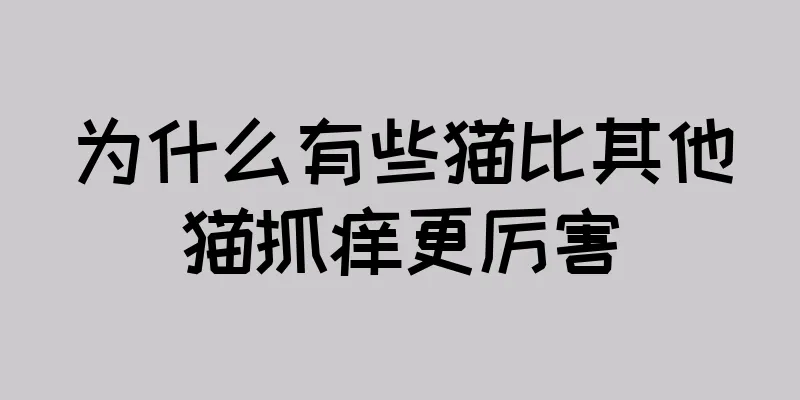 为什么有些猫比其他猫抓痒更厉害